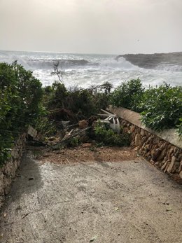 Daños en Santanyí por la borrasca 'Gloria'