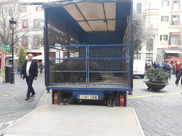 Protesta de Asaja ante Cort por el cierre del matadero.