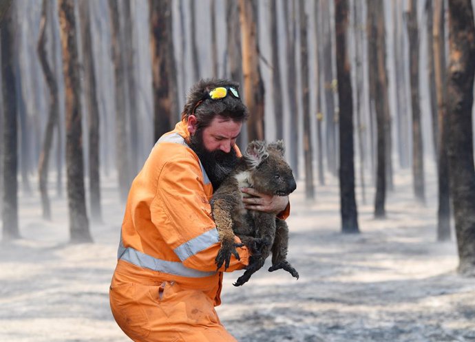 Australia.- Los incendios forestales dejan más cerca de la extinción a la poblac