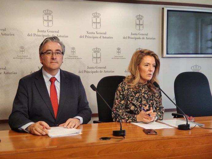 Rueda de prensa de la portavoz del PP en la Junta, Teresa Mallada, y el diputado Pablo González.