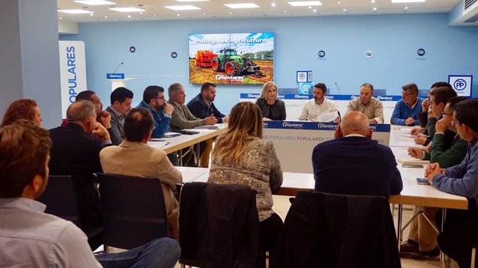 Málaga.- El PP constituye un foro de trabajo permanente por la agricultura y la 