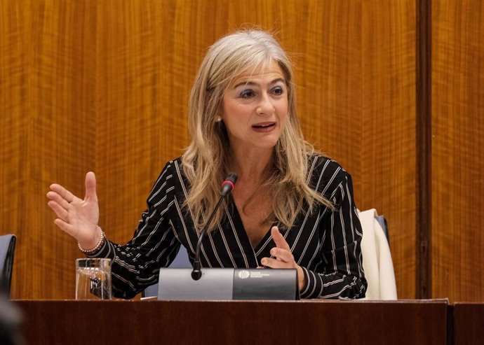 Patricia del Pozo, consejera de Cultura, en comisión parlamentaria