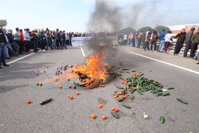 Calabacines ardiendo en el corte de la A-7 en El Ejido (Almería) protagonizado por agricultores