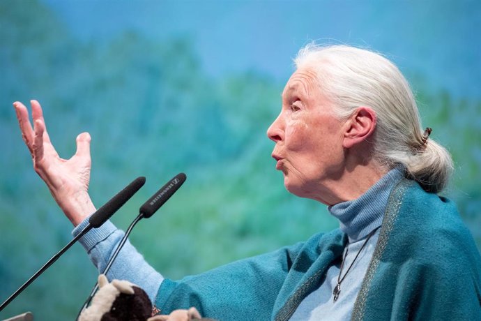 12 February 2020, Bavaria, Nuremberg: Jane Goodall, British Primatologist and UN Messenger of Peace speaks during the opening of the Biofach 2020 trade fair. Photo: Daniel Karmann/dpa