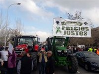 Unos 750 tractores marchan hacia Granada para participar en la manifestación por el campo