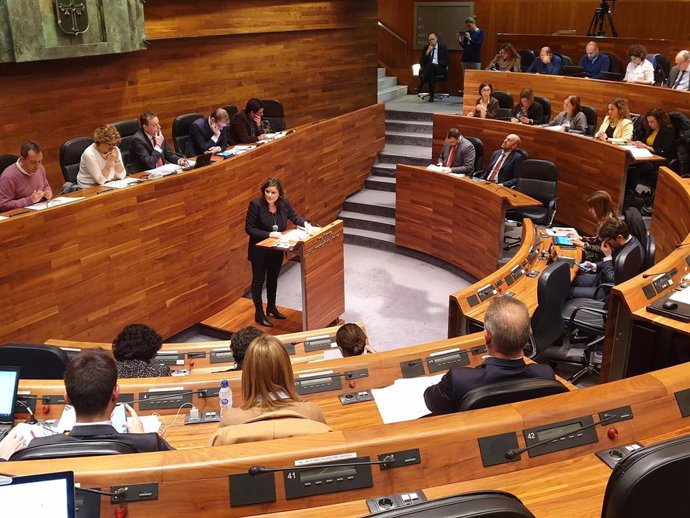 La diputada del PP en la Junta General Beatriz Polledo