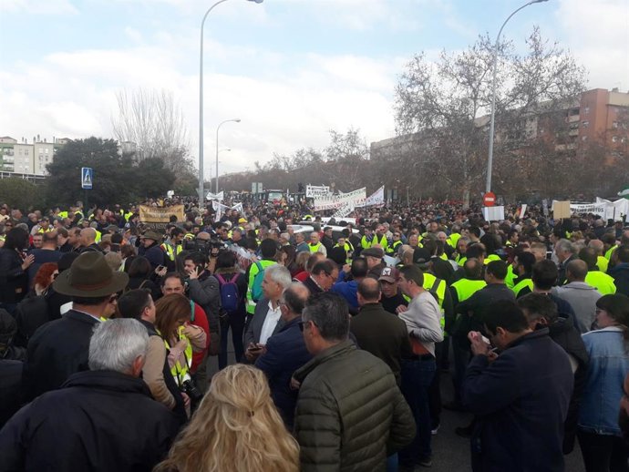 Cabecera de la manifestación por el futuro del campo