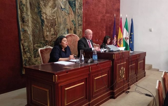Antonio Ruiz preside el Pleno de la Diputación de Córdoba