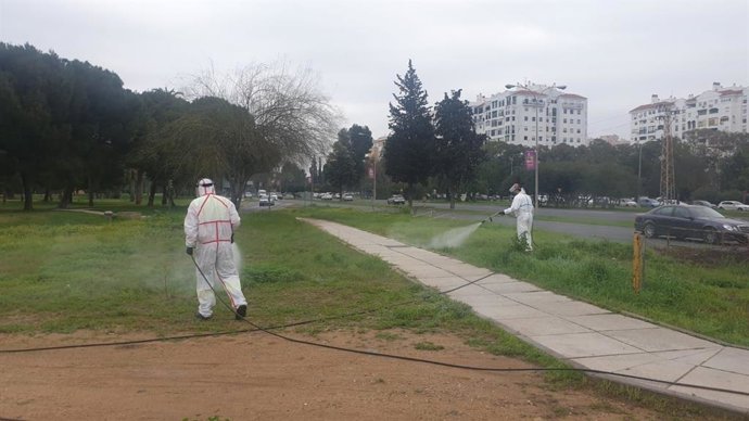 Tratamiento DDD del Zoosanitario del Ayuntamiento de Sevilla