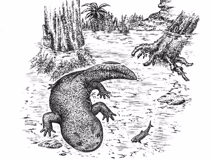 Nueva especie de salamandra que vivió hace 166 millones de años
