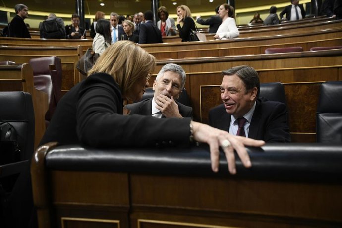 El ministro de Interor, Fernando Grande- Marlaska (centro) y el ministro de Agricultura, Pesca y Alimentación, Luis Planas, en el Pleno del Congreso