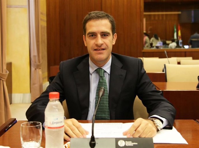 El diputado nacional del PP Miguel Ángel Castellón
