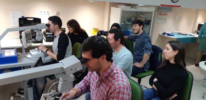 Imagen de la formación en oftalmología