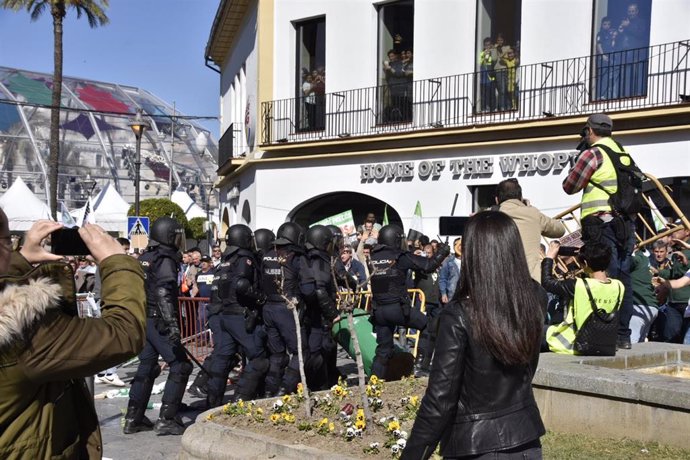 Agentes de policía vigilan la manifestación convocada en Mérida para pedir medidas para paliar la situación en el campo durante la reunión del presidente extremeño, Guillermo Fernández Vara, con el secretario de La Unión Extremadura, Luis Cortés.