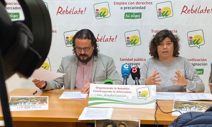 La diputada provincial de IU, Carmen Álvarez, en rueda de prensa