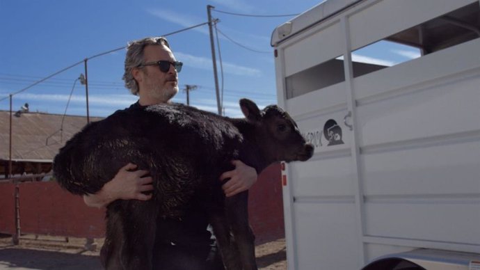 Joaquin Phoenix salva una vaca del matadero