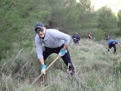 ARBA concluye la temporada 2019-20 plantando más de 3.000 árboles autóctonos  en Cartagena y La Unión