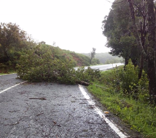 Daños causados por un temporal de viento en la isla de La Gomera