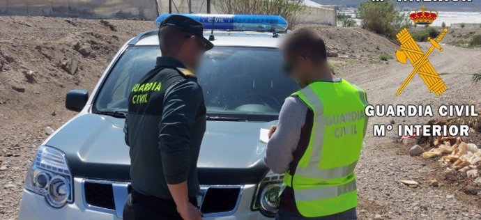 Agentes de la Guardia Civil intervienen en un robo de cajas de pimiento en un invernadero de Vícar (Almería)