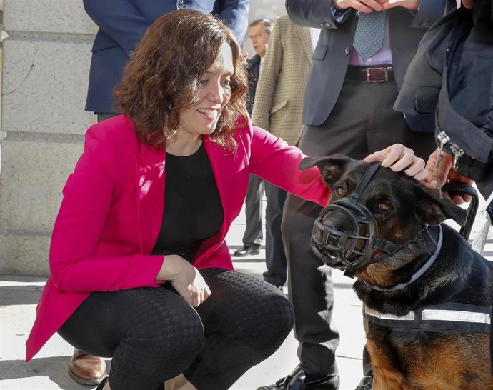Imagen de recurso de la presidenta de la Comunidad de Madrid, Isabel Díaz Ayuso.