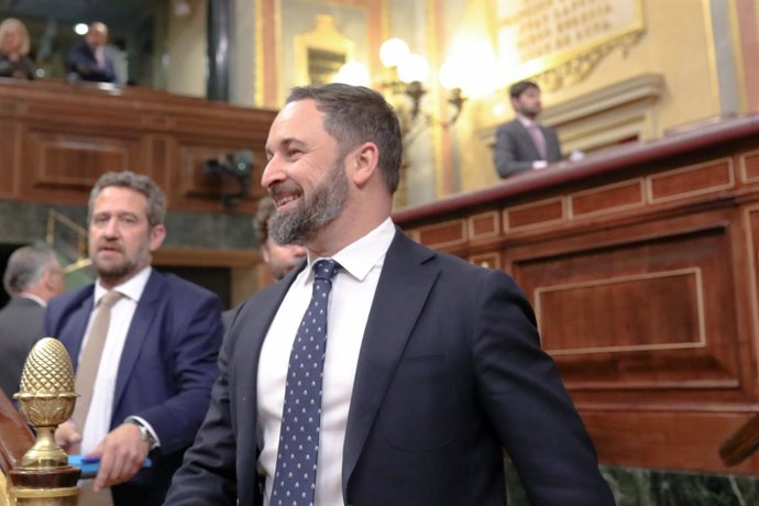 El presidente del Vox, Santiago Abscal, en el Congreso