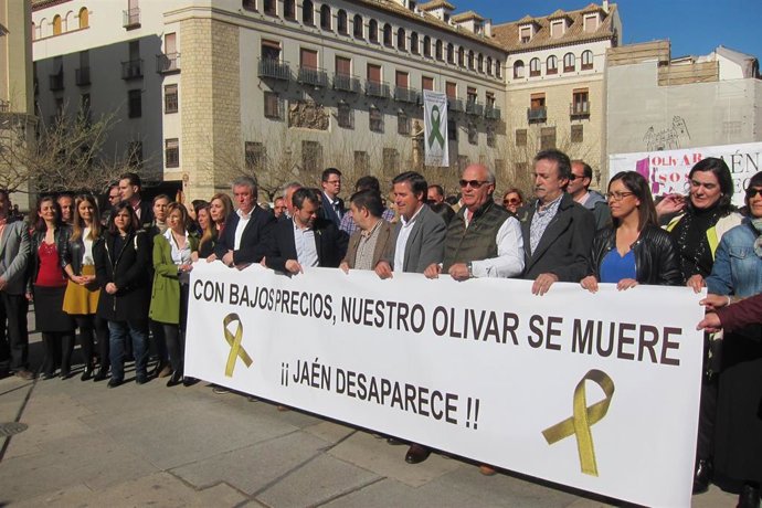 Concentración en la plaza de Santa María por el olivar