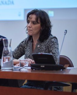 La directora de la Escuela Técnica Superior de Ingeniería de Caminos, Canales y Puertos de la Universidad de Granada (UGR), Montserrat Zamorano