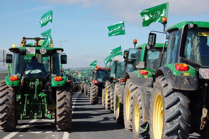 Imagen de la tractorada convocada por las organizaciones agrarias, Asaja entre ellas.