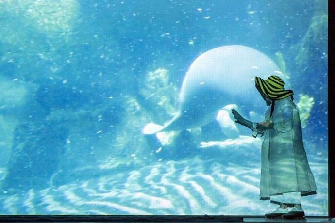 Joan Jonas exhibe en el Thyssen su defensa de los océanos: "Los niños heredarán 