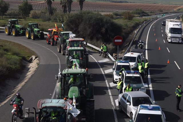 Imagen de la tractorada en la autovía A-4 a la altura del municipio de Carmona (Sevilla).
