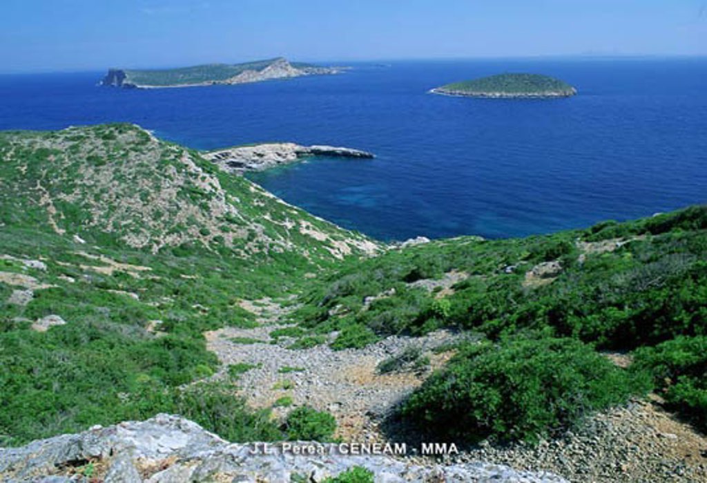 Palma De Mallorca Pertenece A Las Islas Canarias