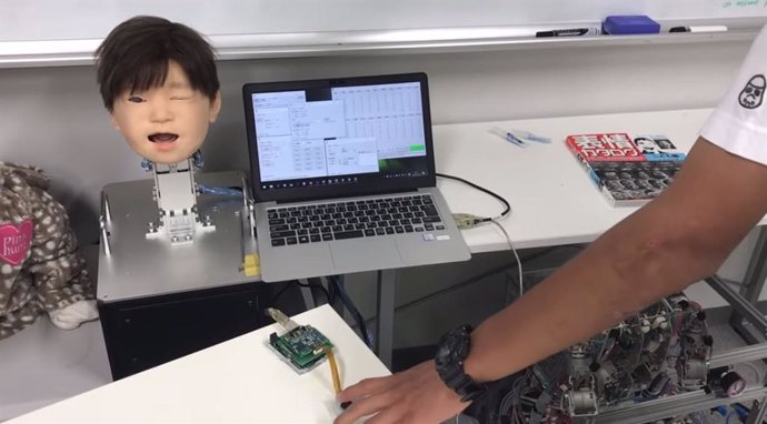Affetto, el robot que ha creat un grup d'investigadors japonesos que pot sentir dolor.