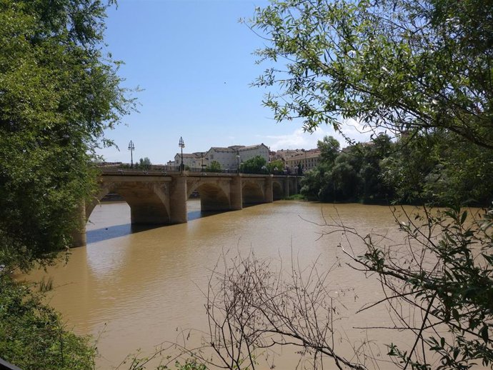 Puente de piedra sobre el río Ebro en Logroño