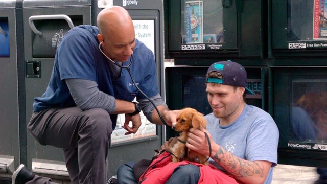 Conoce a Kwane stewart, el veterinario que atiende de manera altruista a las mascotas de las personas sin hogar