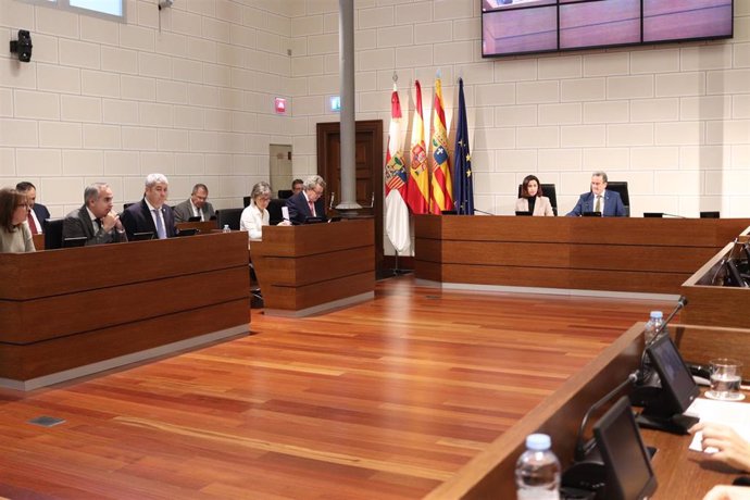 Pleno extraordinario de la Diputación Provincial de Zaragoza.