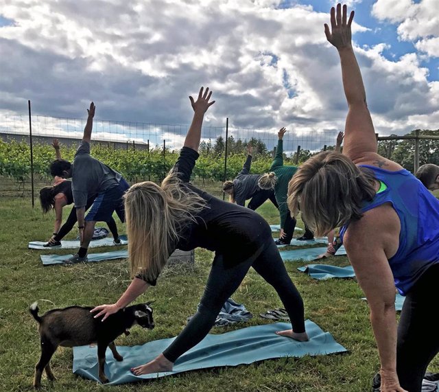 Yoga con cabras en Oregón