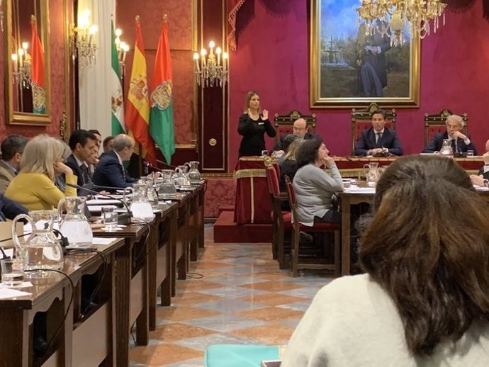 Pleno de febrero del Ayuntamiento de Granada