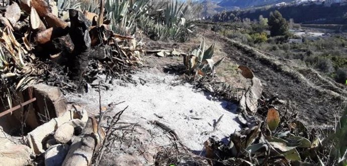 Restos de un incendio forestal en un paraje de Murchas