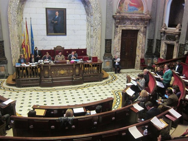 Grezzi durante su intervención en el pleno 