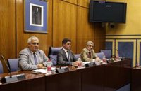 TSJA archiva la causa abierta a los diputados del PSOE-A Arellano y Carnero por no declarar en la comisión de la Faffe