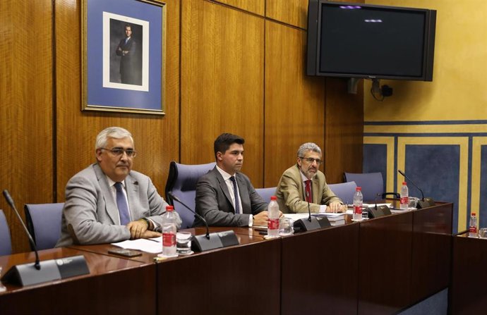 El diputado del PSOE-A y ex consejero de Economía y Hacienda Antonio Ramírez de Arellano (i) comparece en la comisión de Investigación de la Faffe el 8 de noviembre de 2019