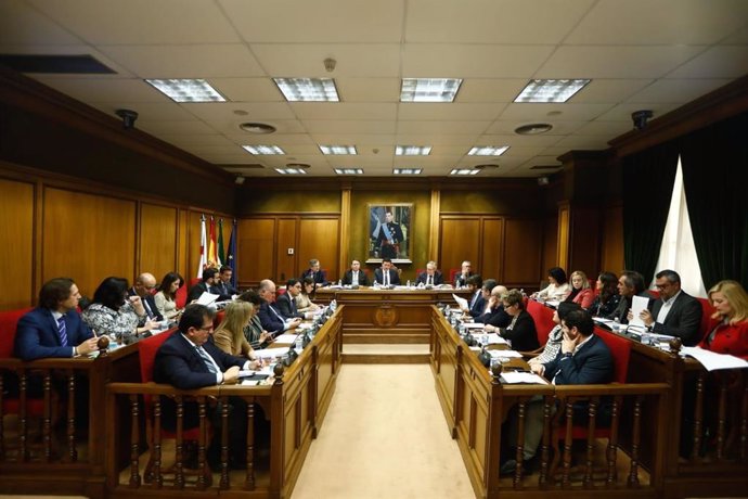 Pleno de la Diputación de Almería celebrado hoy