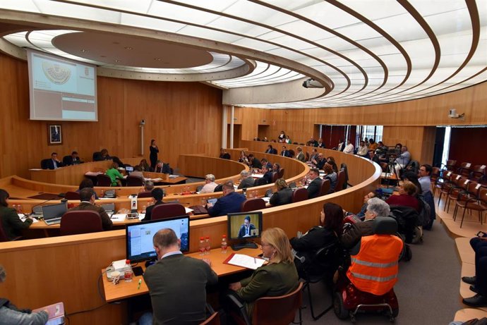 Imagen del pleno de la Diputación de Granada