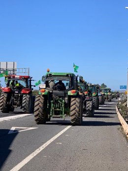 Imagen de algunos de los tractores que se movilizan este jueves cortando la A-49 dirección Portugal
