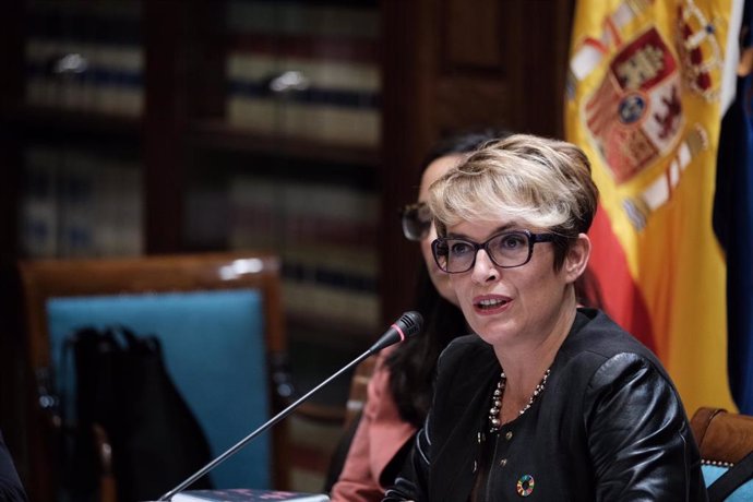 La consejera de Economía y Conocimiento del Gobierno de Canarias, Elena Máñez, en comisión parlamentaria