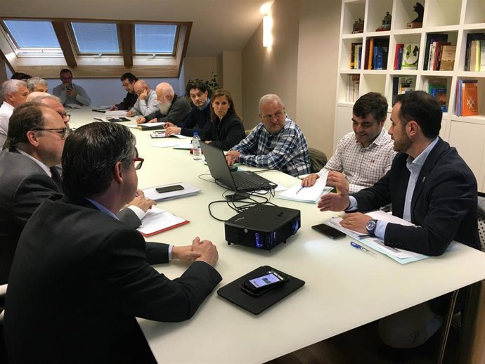 Comité asesor avispa asiática.