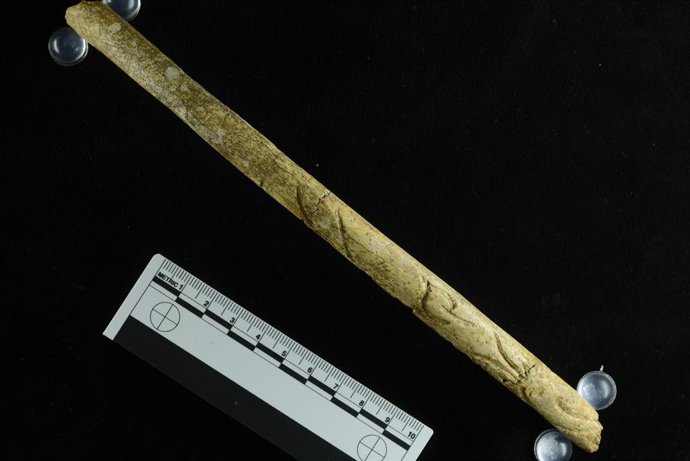 Ndp Y Foto Pieza Del Mes Mupac