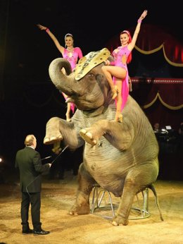 Imagen de archivo de un espectáculo con elefantes del Circo Quirós.