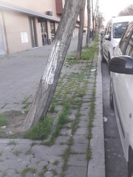 Calles en mal estado en el Cerro del Águila