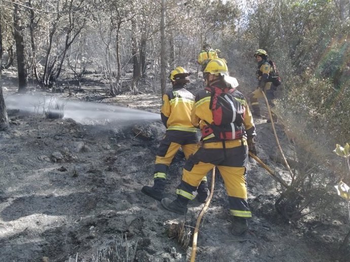 Efectivos del Ibanat trabajando en el incendio forestal de Sa Bassota, en Esporles.
